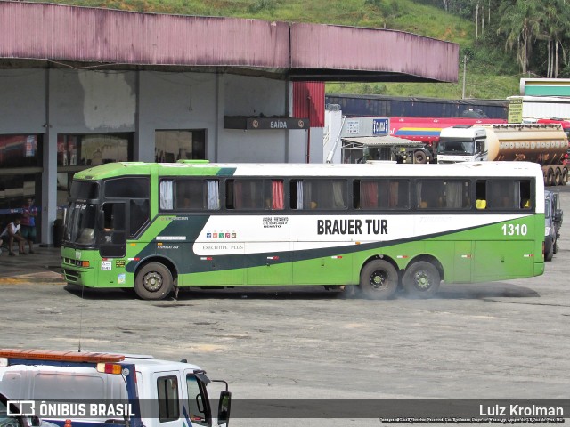 Brauer Tur 1310 na cidade de Juiz de Fora, Minas Gerais, Brasil, por Luiz Krolman. Número da foto: #10964595.