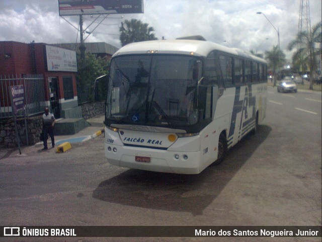 Falcão Real 1100 na cidade de Feira de Santana, Bahia, Brasil, por Mario dos Santos Nogueira Junior. ID da foto: 10965920.