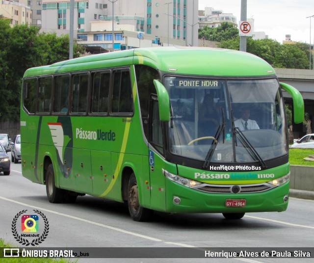 Pássaro Verde 11100 na cidade de Belo Horizonte, Minas Gerais, Brasil, por Henrique Alves de Paula Silva. ID da foto: 10970570.