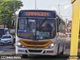 Via Sul TransFlor 5003 na cidade de Natal, Rio Grande do Norte, Brasil, por Davi Felipe. Número da foto: #10970845.