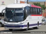 Viação Piracicabana 1133 na cidade de Holambra, São Paulo, Brasil, por Henrique Alves de Paula Silva. Número da foto: #10973919.