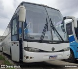 Pérola do Sul > Pérola Bus 113 na cidade de Pelotas, Rio Grande do Sul, Brasil, por Fábio Oliveira. Número da foto: #:id.