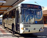 Araucária Transportes Coletivos 19814 na cidade de Curitiba, Paraná, Brasil, por Hipólito Rodrigues. Número da foto: #:id.