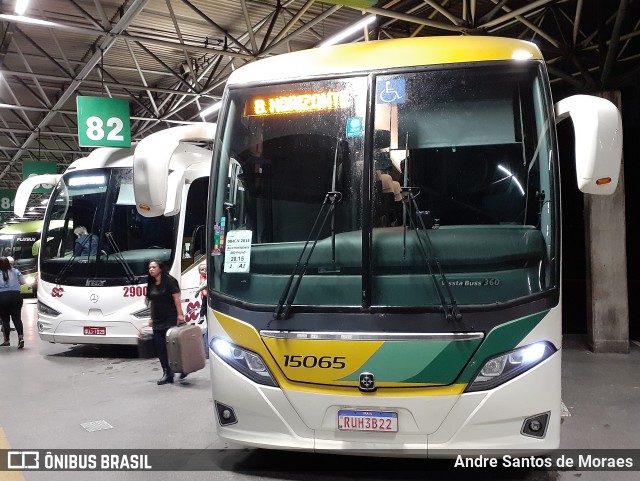 Empresa Gontijo de Transportes 15065 na cidade de São Paulo, São Paulo, Brasil, por Andre Santos de Moraes. ID da foto: 10980260.