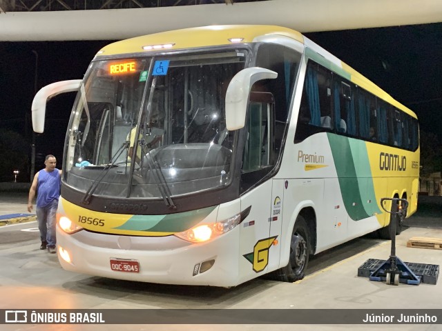 Empresa Gontijo de Transportes 18565 na cidade de Marília, São Paulo, Brasil, por Júnior Juninho. Número da foto: #10981680.
