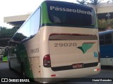 Pássaro Verde 29020 na cidade de Belo Horizonte, Minas Gerais, Brasil, por Hariel Bernades. Número da foto: #10981737.