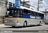 Viação Cometa 1339 na cidade de São Paulo, São Paulo, Brasil, por Hipólito Rodrigues. Número da foto: #:id.