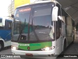 Pássaro Verde 29020 na cidade de Belo Horizonte, Minas Gerais, Brasil, por Hariel Bernades. Número da foto: #10981731.