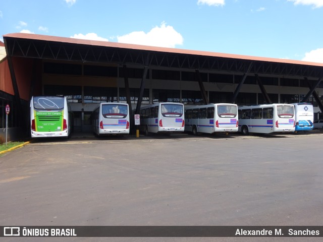 BRT Curitiba 15004 na cidade de Palmas, Paraná, Brasil, por Alexandre M.  Sanches. ID da foto: 10984621.