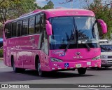 TRACOPA - Transportes Costarricenses Panameños 38 na cidade de San José, San José, Costa Rica, por Andrés Martínez Rodríguez. Número da foto: #10986309.
