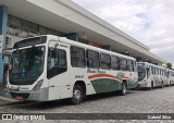 Viação Montes Brancos RJ 196.011 na cidade de Araruama, Rio de Janeiro, Brasil, por Gabriel Silva. Número da foto: #10991350.