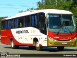 Rouxinol 2206 na cidade de Sabará, Minas Gerais, Brasil, por Matheus Adler. ID da foto: :id.