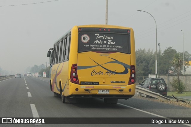 Cinta Azul ARLE BUS na cidade de Chillán, Ñuble, Bío-Bío, Chile, por Diego Linco Mora. Número da foto: #10922714.