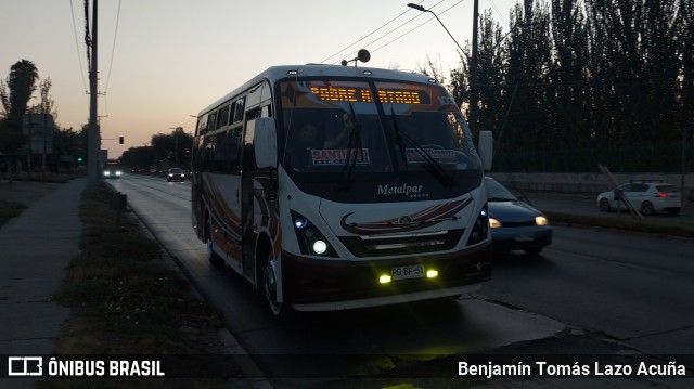 Bupesa 103 na cidade de Maipú, Santiago, Metropolitana de Santiago, Chile, por Benjamín Tomás Lazo Acuña. Número da foto: #10921410.