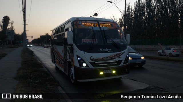 Bupesa 103 na cidade de Maipú, Santiago, Metropolitana de Santiago, Chile, por Benjamín Tomás Lazo Acuña. ID da foto: 10921410.