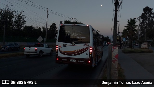 Bupesa 103 na cidade de Maipú, Santiago, Metropolitana de Santiago, Chile, por Benjamín Tomás Lazo Acuña. Número da foto: #10921412.