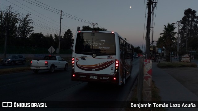 Bupesa 103 na cidade de Maipú, Santiago, Metropolitana de Santiago, Chile, por Benjamín Tomás Lazo Acuña. ID da foto: 10921412.