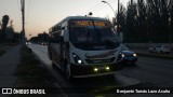 Bupesa 103 na cidade de Maipú, Santiago, Metropolitana de Santiago, Chile, por Benjamín Tomás Lazo Acuña. Número da foto: #10921410.