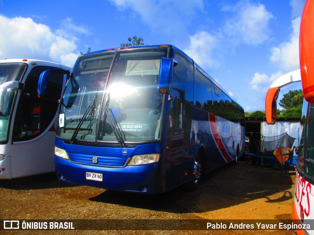 Matute Tour Viajes Tomé BHZX60 na cidade de Valdivia, Valdivia, Los Ríos, Chile, por Pablo Andres Yavar Espinoza. Número da foto: #10930321.