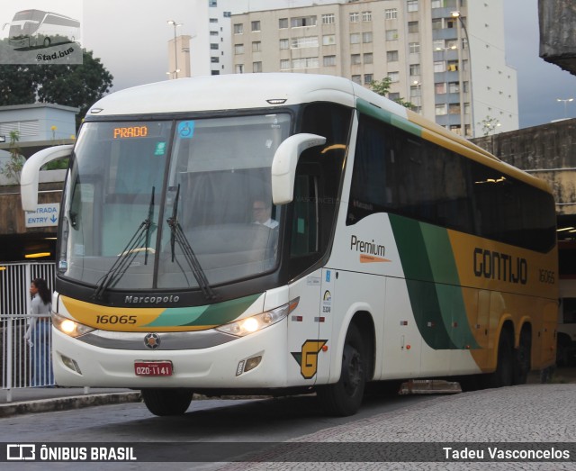 Empresa Gontijo de Transportes 16065 na cidade de Belo Horizonte, Minas Gerais, Brasil, por Tadeu Vasconcelos. Número da foto: #10931029.