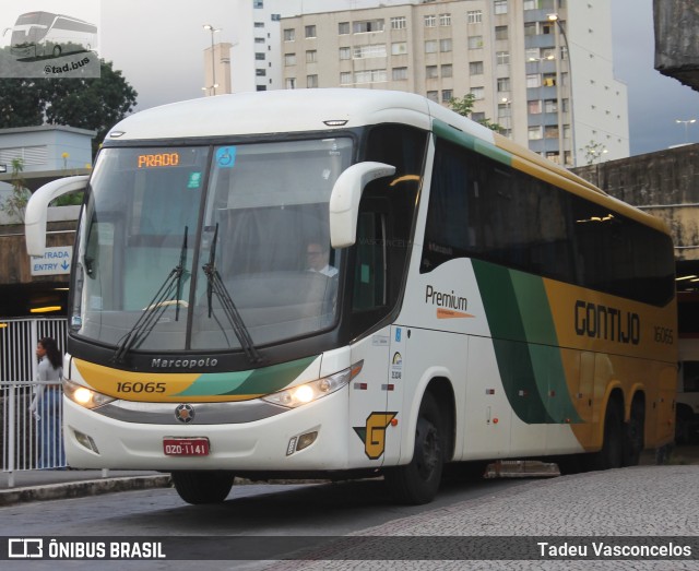 Empresa Gontijo de Transportes 16065 na cidade de Belo Horizonte, Minas Gerais, Brasil, por Tadeu Vasconcelos. ID da foto: 10931029.