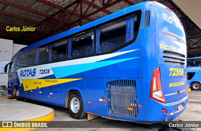 RodeRotas - Rotas de Viação do Triângulo 72308 na cidade de Goiânia, Goiás, Brasil, por Carlos Júnior. Número da foto: #10937516.