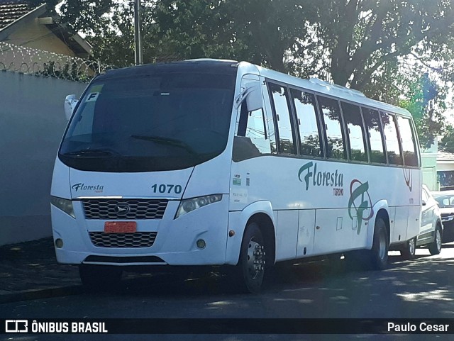 Floresta Turismo 1070 na cidade de Araçatuba, São Paulo, Brasil, por Paulo Cesar. Número da foto: #10935078.
