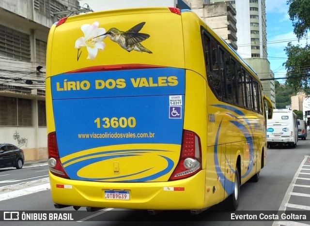 Viação Lírio dos Vales 13600 na cidade de Vitória, Espírito Santo, Brasil, por Everton Costa Goltara. Número da foto: #10935876.