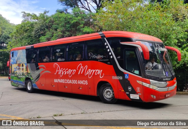Empresa de Ônibus Pássaro Marron 5829 na cidade de São Paulo, São Paulo, Brasil, por Diego Cardoso da Silva. Número da foto: #10934604.