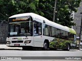TRANSPPASS - Transporte de Passageiros 8 1029 na cidade de São Paulo, São Paulo, Brasil, por Hipólito Rodrigues. Número da foto: #:id.
