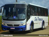 São Francisco 16206 na cidade de Paudalho, Pernambuco, Brasil, por Edjunior Sebastião. Número da foto: #11025599.