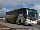 Empresa Gontijo de Transportes 14075 na cidade de Caruaru, Pernambuco, Brasil, por Lenilson da Silva Pessoa. Número da foto: #11026522.