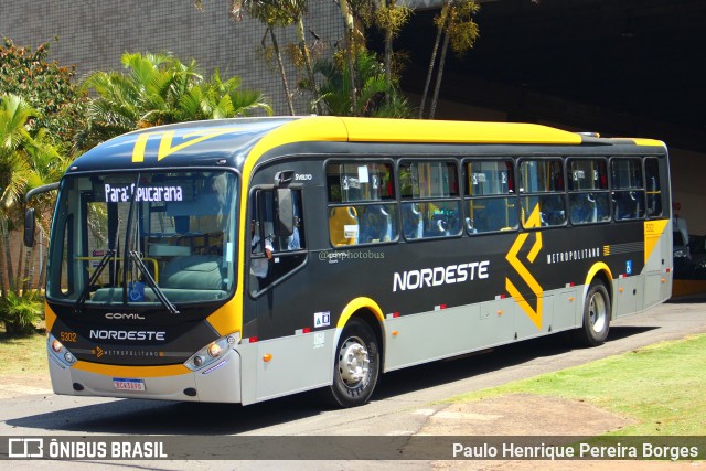 Expresso Nordeste 5302 na cidade de Apucarana, Paraná, Brasil, por Paulo Henrique Pereira Borges. Número da foto: #11029742.