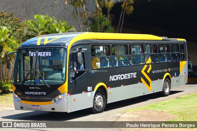 Expresso Nordeste 5302 na cidade de Apucarana, Paraná, Brasil, por Paulo Henrique Pereira Borges. ID da foto: 11029742.