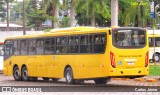 Volkswagen Ônibus e Caminhões - MAN Latin America 22260 na cidade de Goiânia, Goiás, Brasil, por Carlos Júnior. ID da foto: :id.