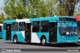 Metbus 0943 na cidade de Maipú, Santiago, Metropolitana de Santiago, Chile, por Franz Hecher. Número da foto: #11033955.