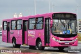 Avanço Transportes 1020 na cidade de Salvador, Bahia, Brasil, por Franz Hecher. Número da foto: #11033900.