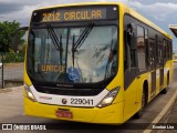Viação Pioneira 229041 na cidade de Park Way, Distrito Federal, Brasil, por Everton Lira. Número da foto: #:id.