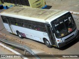 Ônibus Particulares 8689 na cidade de Paudalho, Pernambuco, Brasil, por Edjunior Sebastião. Número da foto: #11038559.