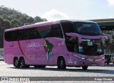 Nova América Turismo 2500 na cidade de Juiz de Fora, Minas Gerais, Brasil, por Diego Oliveira. Número da foto: #11040376.
