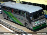 TransLeite 1259 na cidade de Paudalho, Pernambuco, Brasil, por Edjunior Sebastião. Número da foto: #11038754.