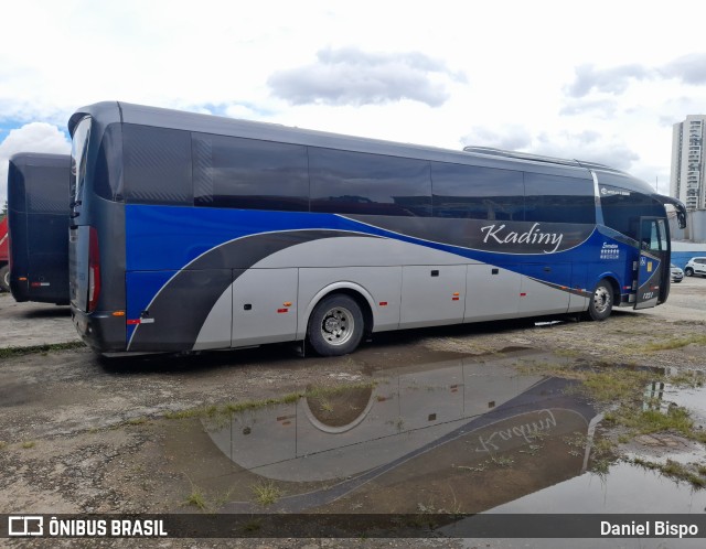 Kadiny Locadora 1231 na cidade de São Paulo, São Paulo, Brasil, por Daniel Bispo. Número da foto: #11046236.