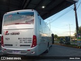 Boy Turismo 2215 na cidade de Goiana, Pernambuco, Brasil, por Jonas Alves. Número da foto: #11050635.
