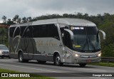 Bia Turismo > Aellos de Ouro 8221 na cidade de Santa Isabel, São Paulo, Brasil, por George Miranda. Número da foto: #11050531.
