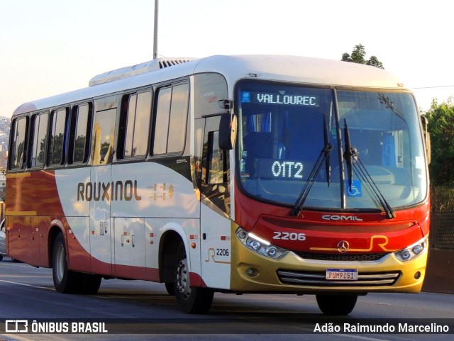 Rouxinol 2206 na cidade de Belo Horizonte, Minas Gerais, Brasil, por Adão Raimundo Marcelino. Número da foto: #11005405.