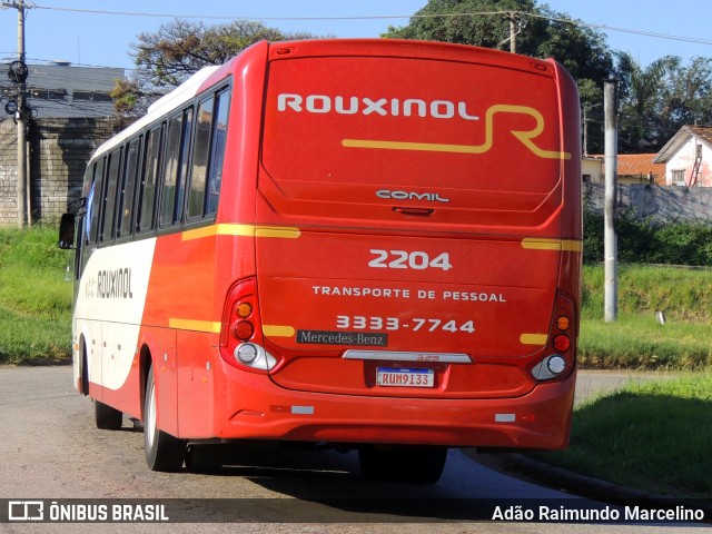 Rouxinol 2204 na cidade de Belo Horizonte, Minas Gerais, Brasil, por Adão Raimundo Marcelino. ID da foto: 11005306.