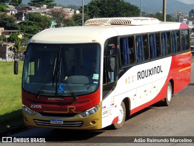 Rouxinol 2205 na cidade de Belo Horizonte, Minas Gerais, Brasil, por Adão Raimundo Marcelino. ID da foto: 11005242.