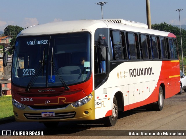 Rouxinol 2204 na cidade de Belo Horizonte, Minas Gerais, Brasil, por Adão Raimundo Marcelino. Número da foto: #11005282.