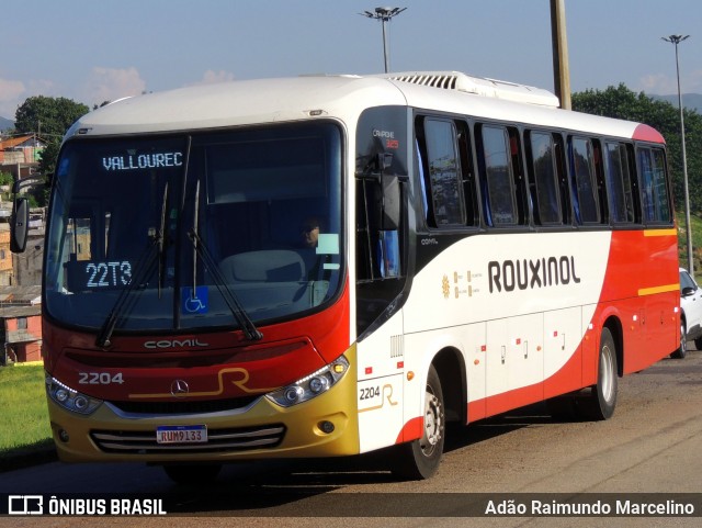 Rouxinol 2204 na cidade de Belo Horizonte, Minas Gerais, Brasil, por Adão Raimundo Marcelino. ID da foto: 11005282.