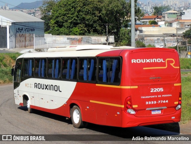 Rouxinol 2205 na cidade de Belo Horizonte, Minas Gerais, Brasil, por Adão Raimundo Marcelino. Número da foto: #11005257.